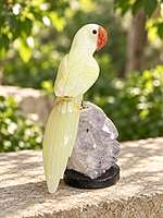 Loro de Calcita amarilla Loro de Calcita amarilla