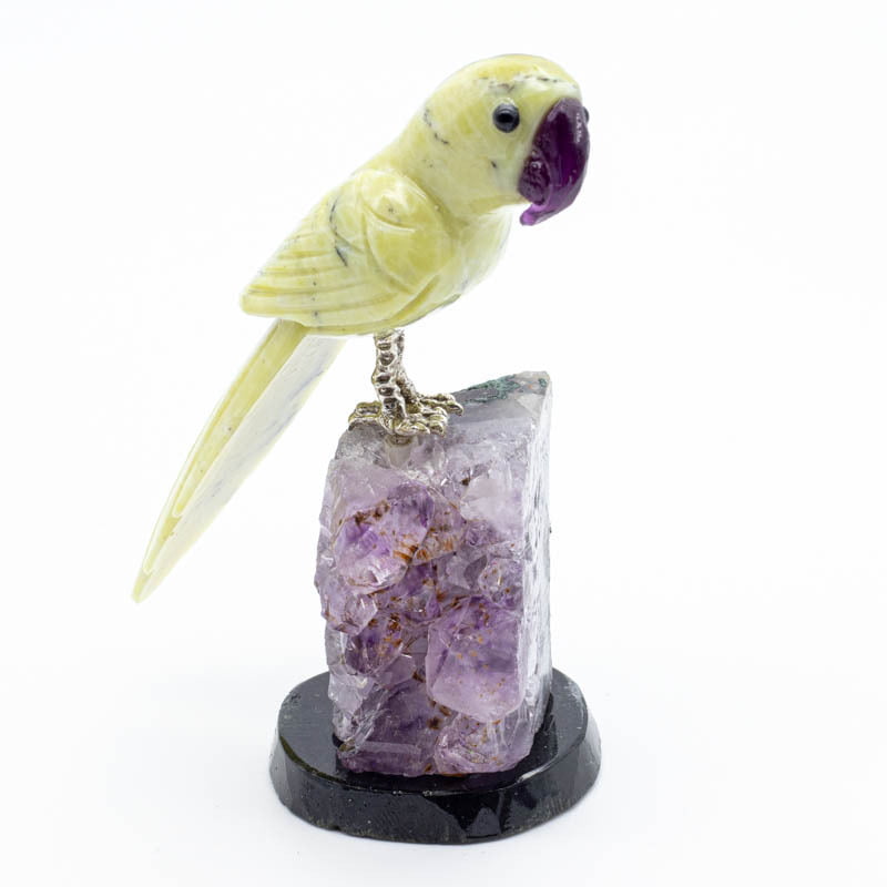 Loro en Jaspe verde con base de Amatista